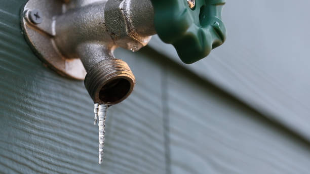 Best Sewer Line Repair  in Arlington Heights, IL